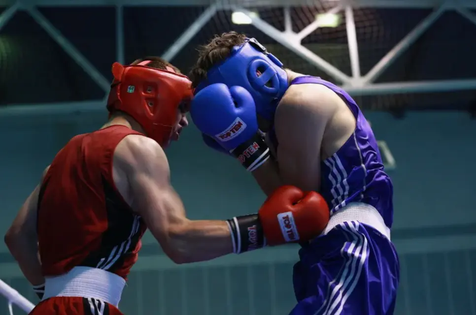 Основные типы ставок на бокс база для любой стратегии Основные типы ставок на бокс база для любой стратегии